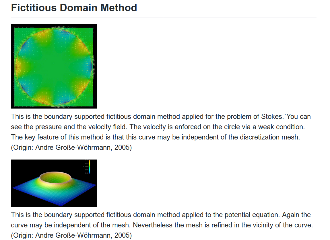 Fictious Domain Method